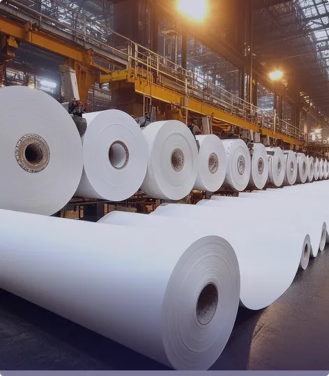 Pulp & Paper