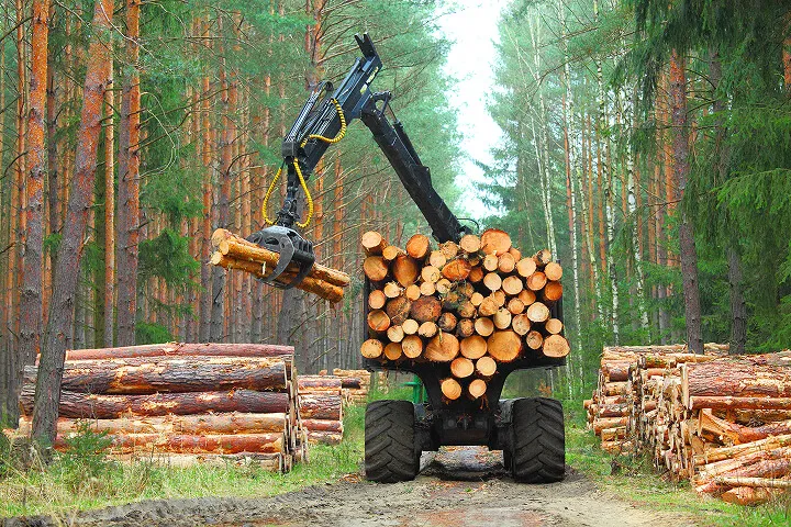 Bowman Tech agricultural bearings for farming and forestry machinery