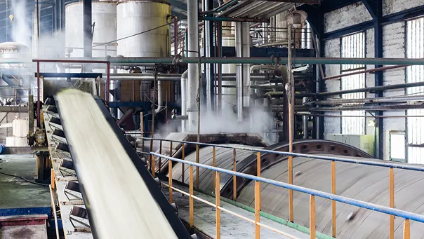 Belt Conveyor – Sugar Industry