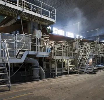 Belt Conveyor – Sugar Industry