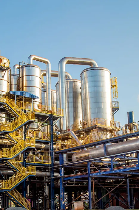 Belt Conveyor – Sugar Industry