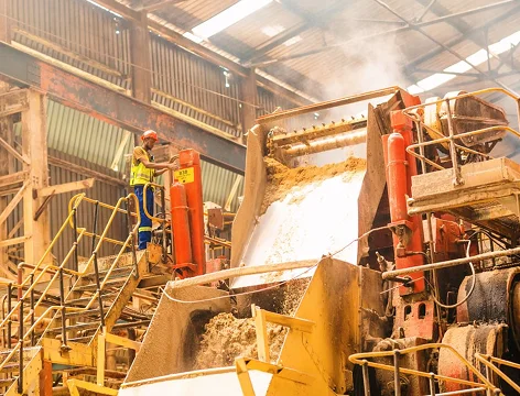 Sugar Production