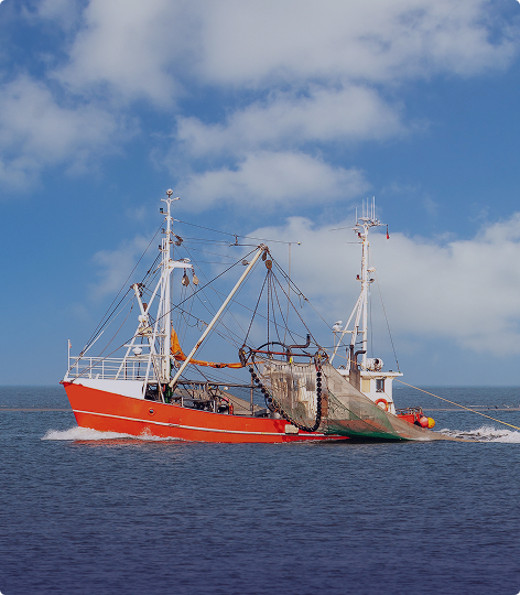 Maritime/Marine